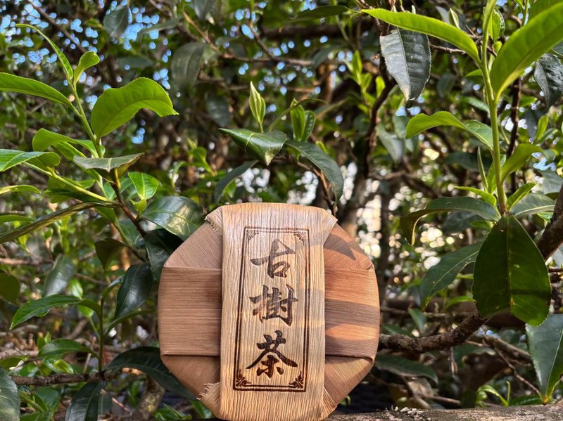 有机茶：绿色健康的时尚之选