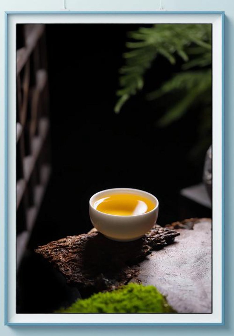 古树茶的魅力与未来发展趋势